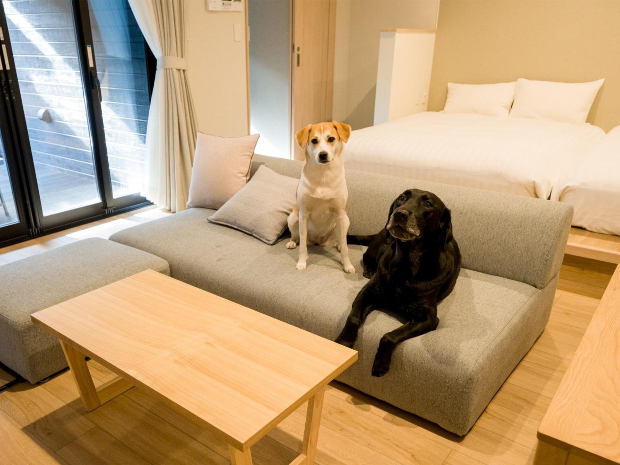 Rakuten Stay Nikko Hoden Capacity Of 8 Persons 외부 사진